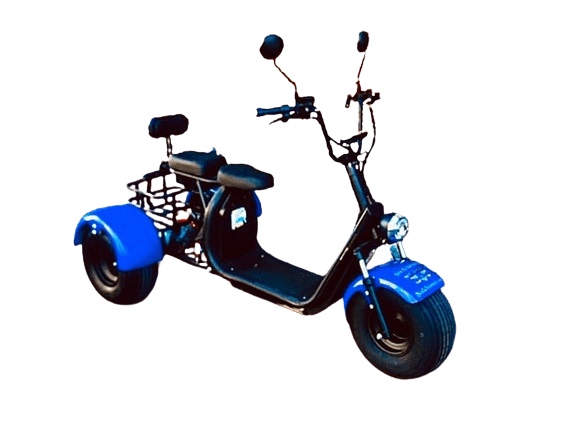 Electric Cycle/Scooter Rentals