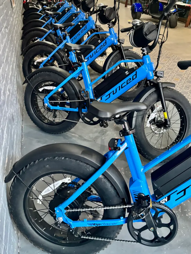 Electric Bikes (E-Bikes)